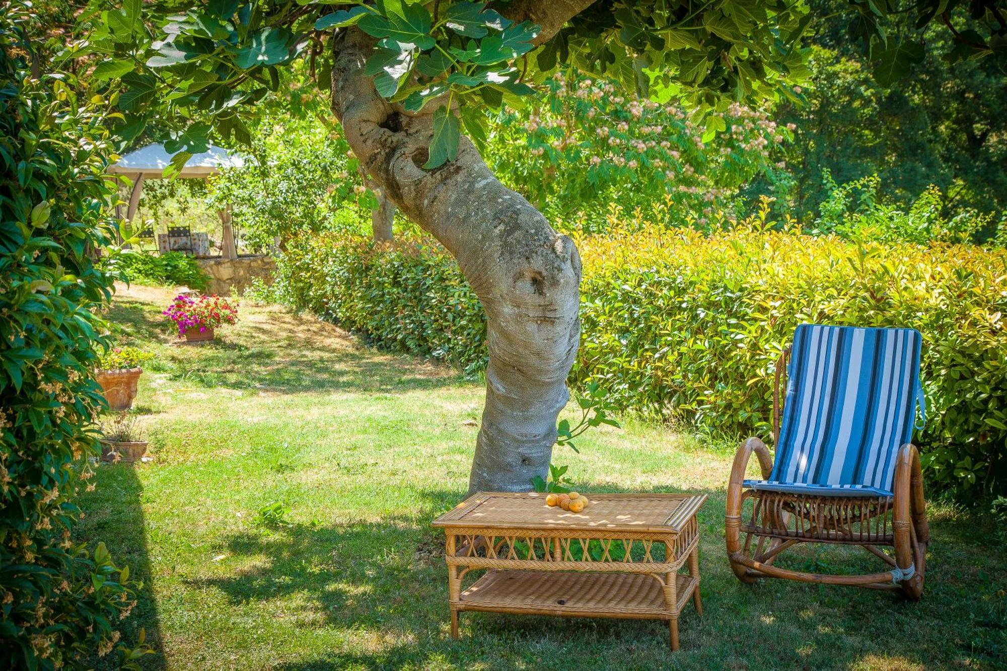 Agriturismo Bio Tra Cielo E Terra Frontignano Exterior foto